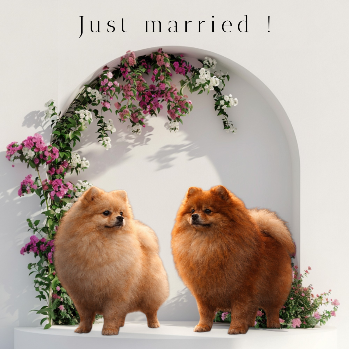 Des bébés pour le 1er avril 